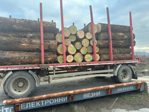 ASH LOGS - Image 3