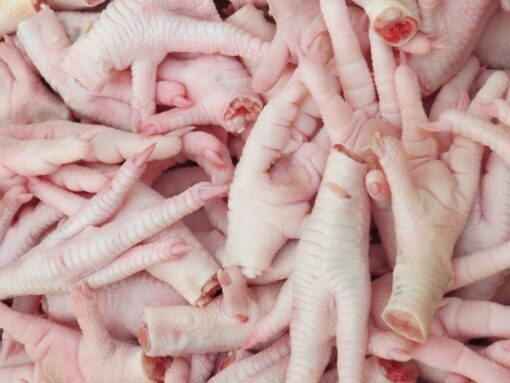 CHICKEN & DUCK FEET