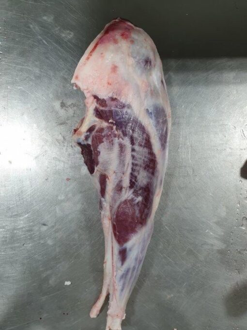 LAMB - Image 2