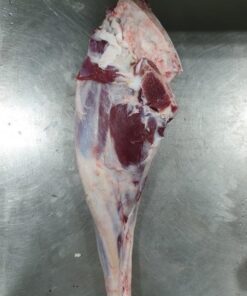 LAMB