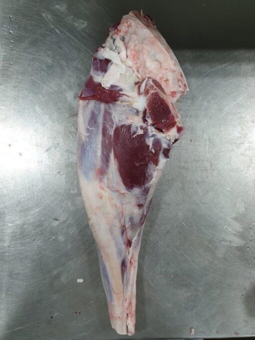 LAMB