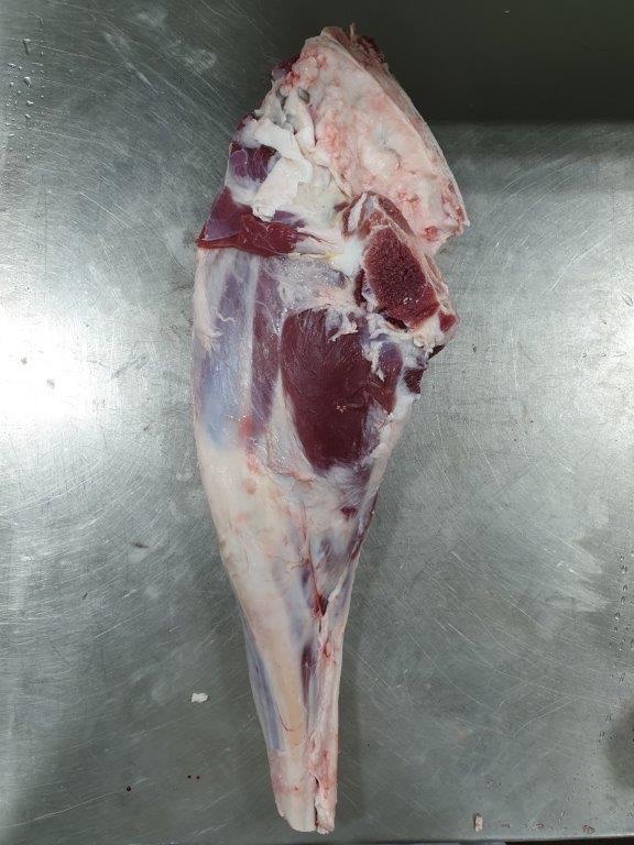 LAMB