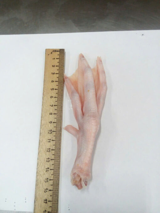 CHICKEN & DUCK FEET - Image 2